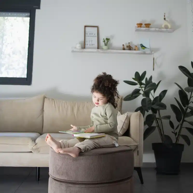 הדום עיגולים